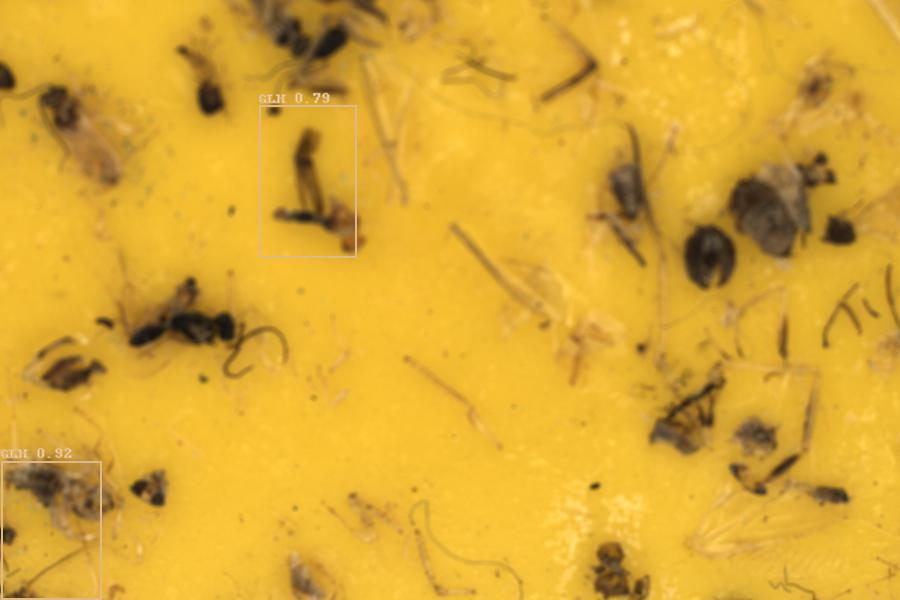 Image 9
